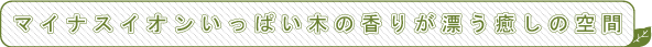 マイナスイオンいっぱい木の香り漂う癒しの空間