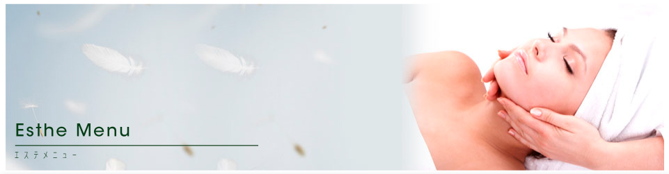 エステメニュー