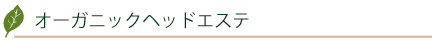 オーガニックヘッドエステ