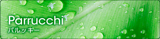 パルッキー