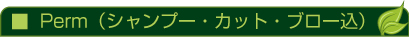 パーマ　価格