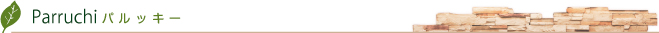 パルッキー