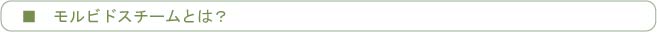 モルビドスチームとは？