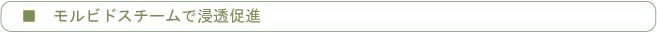 モルビドスチームで浸透促進